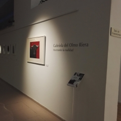 exposicion-pintura-animalista-gabriela-del-olmo-riera-madrid-villanueva-de-la-acanada-2017-mostrando-la-realidad-respeto-animales-concienciacion-10