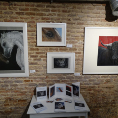 exposicion-feeding-art-madrid-malasana-gabriela-del-olmo-animal-portrait-artist-3